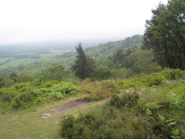 University of Warwick